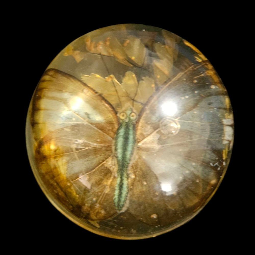 Vintage Butterfly Encased Lucite Resin Dome Paperweight Amber Nature Decor